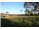 Lot 2 Palmer Court, The Dawn QLD 4570