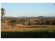 Lot 2 Palmer Court, The Dawn QLD 4570