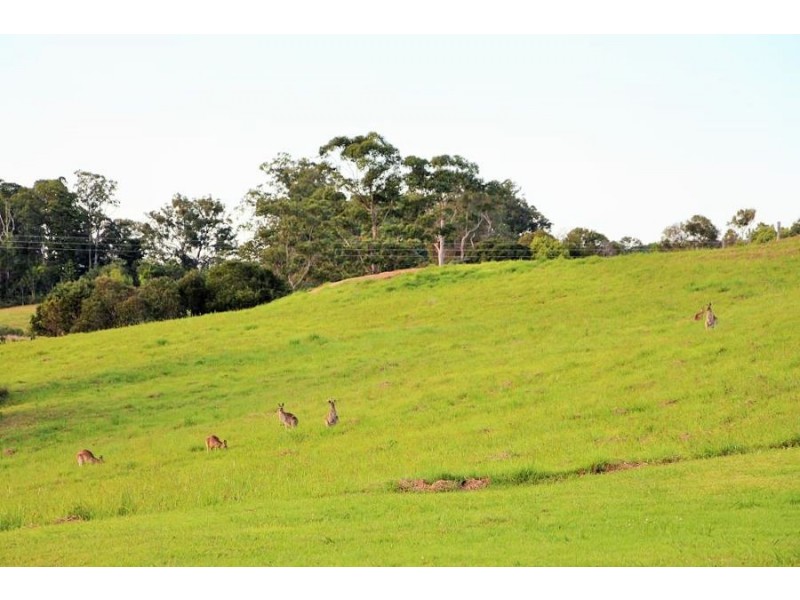 37 Edinburgh Court, East Deep Creek QLD 4570