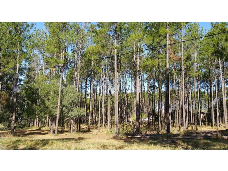 Lot 820 Arbortwenty-three Road, Glenwood QLD 4570