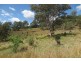 Glastonbury QLD 4570