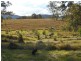 Glastonbury QLD 4570