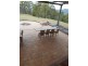 Glastonbury QLD 4570