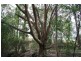 Glastonbury QLD 4570