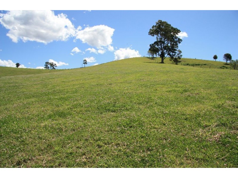 Wilsons Pocket QLD 4570