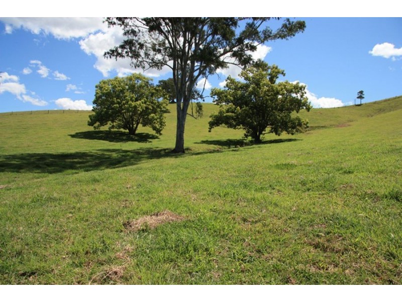 Wilsons Pocket QLD 4570