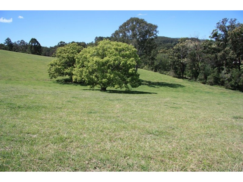 Wilsons Pocket QLD 4570