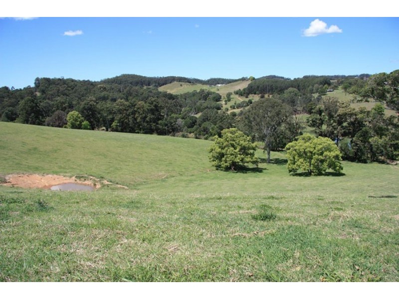 Wilsons Pocket QLD 4570