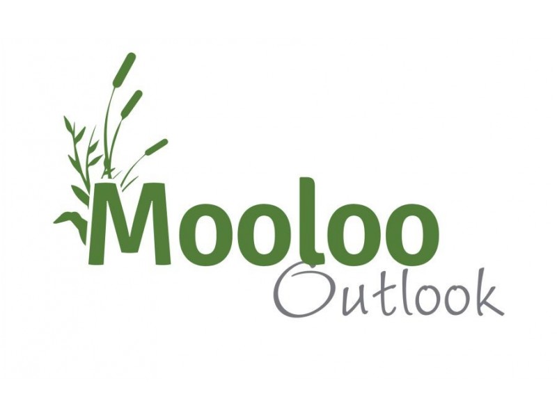 31 Mooloo Road (Mooloo Outlook), Pie Creek QLD 4570