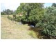 Glenwood QLD 4570