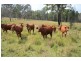Glenwood QLD 4570