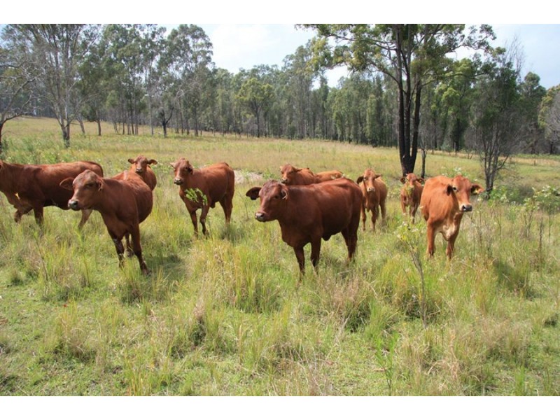 Glenwood QLD 4570