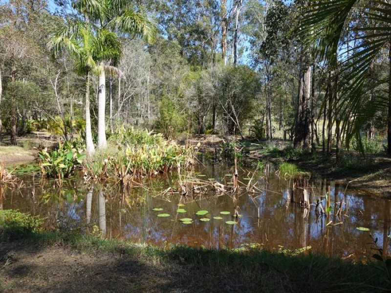108 Rodney Road, Curra QLD 4570