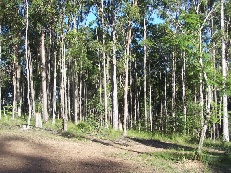 North Deep Creek QLD 4570