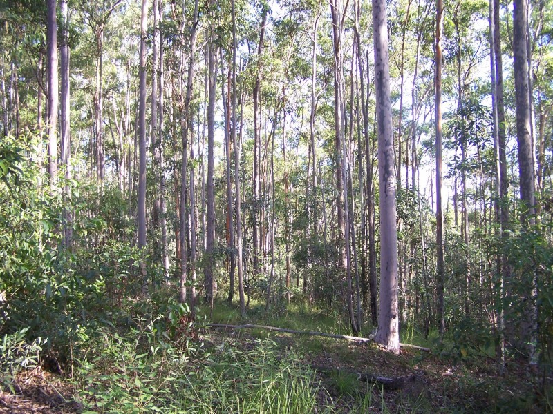 North Deep Creek QLD 4570