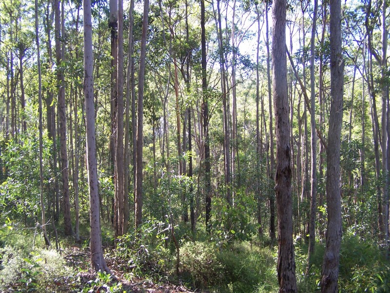 North Deep Creek QLD 4570