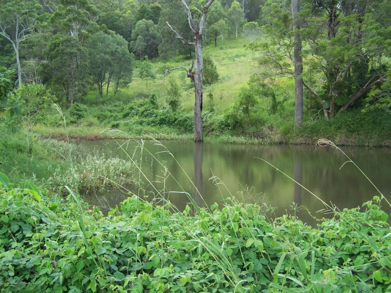 Cedar Pocket QLD 4570
