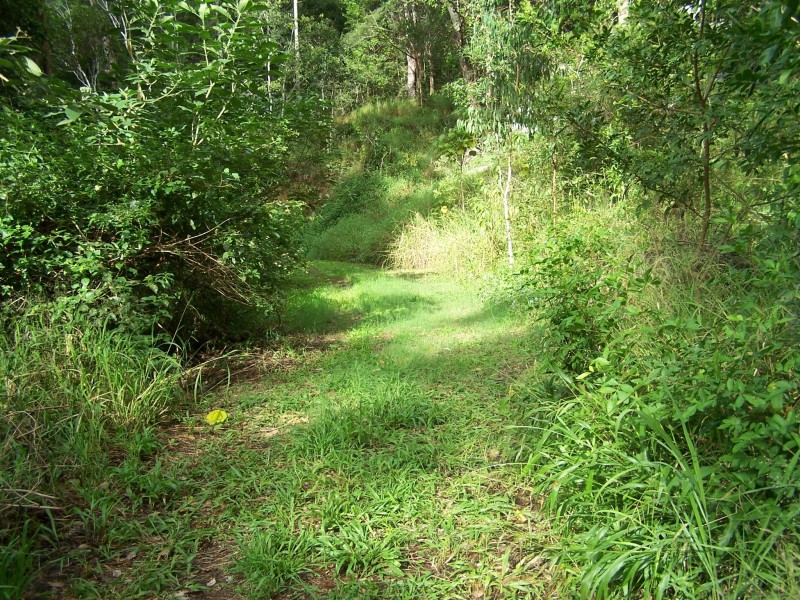 Cedar Pocket QLD 4570
