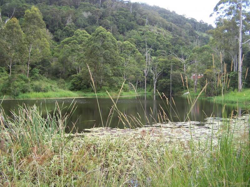 Cedar Pocket QLD 4570