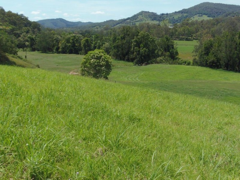 34 Colburn Road, Upper Kandanga QLD 4570