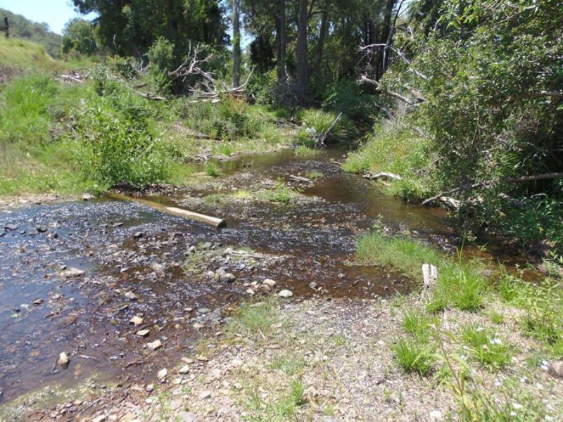 34 Colburn Road, Upper Kandanga QLD 4570