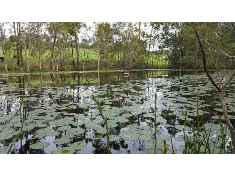 Kia Ora QLD 4570