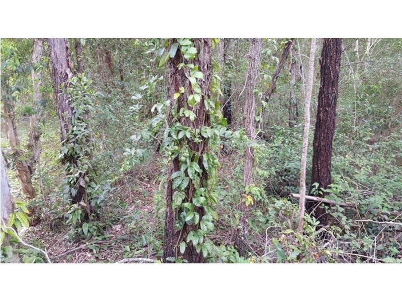 Kia Ora QLD 4570