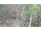 Kia Ora QLD 4570