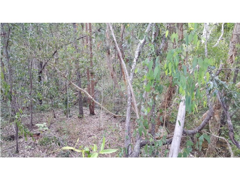 Kia Ora QLD 4570