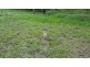Kia Ora QLD 4570