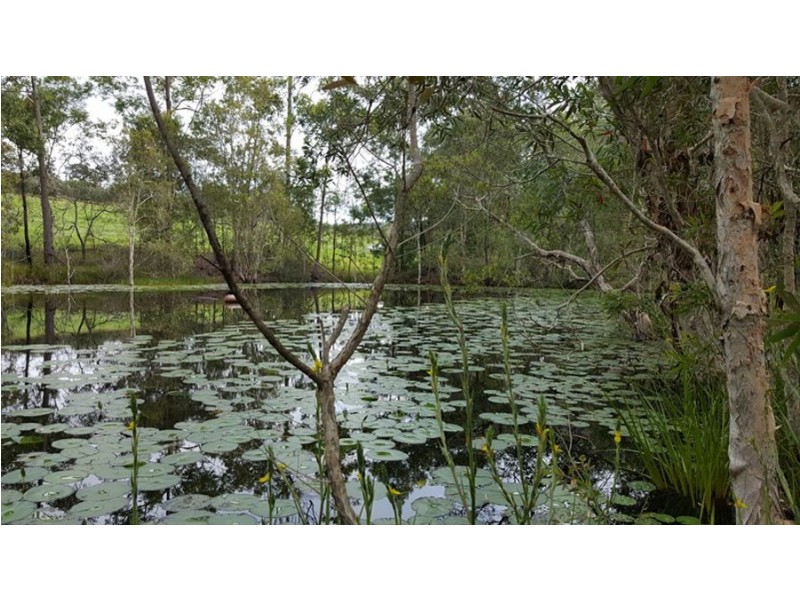 Kia Ora QLD 4570