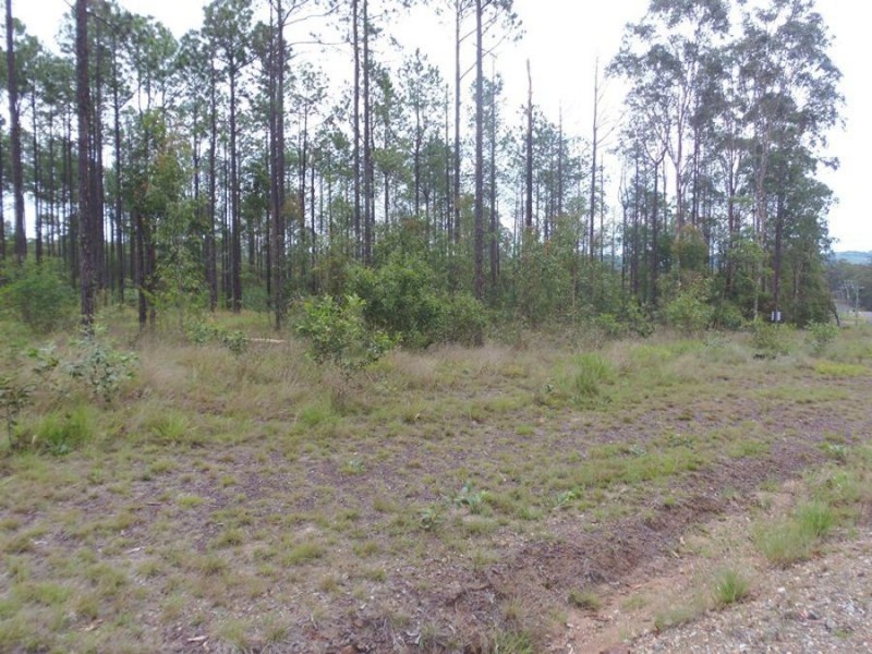 Lot 798 Arbortwenty-eight Road, Glenwood QLD 4570
