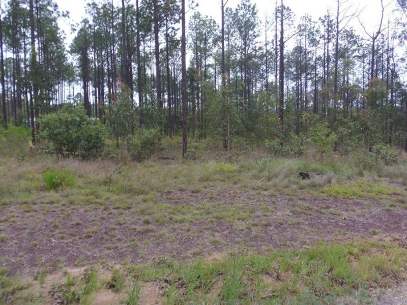 Lot 798 Arbortwenty-eight Road, Glenwood QLD 4570