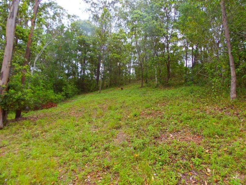 Lot 239 Arborsix Road, Glenwood QLD 4570