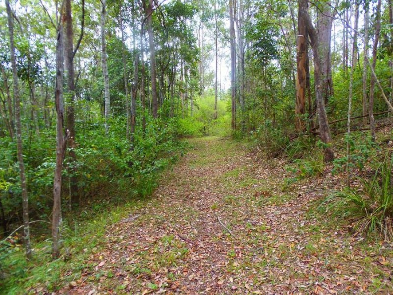 Lot 239 Arborsix Road, Glenwood QLD 4570