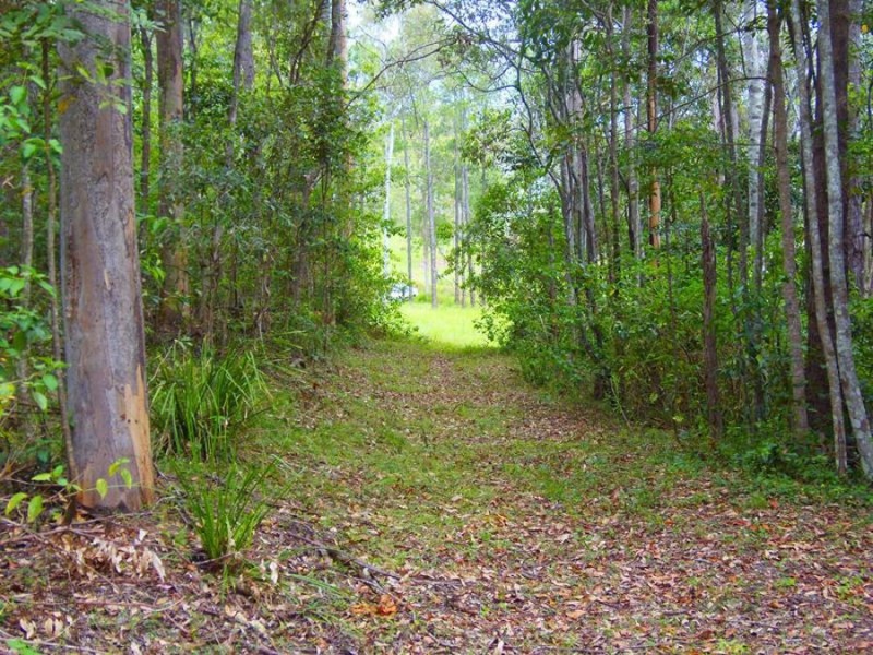Lot 239 Arborsix Road, Glenwood QLD 4570