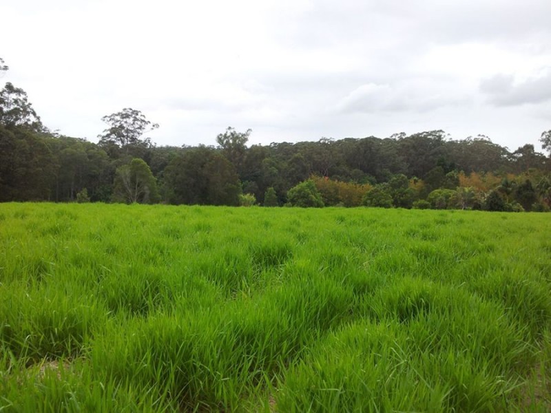 40 Gilson Road, Cootharaba QLD 4565