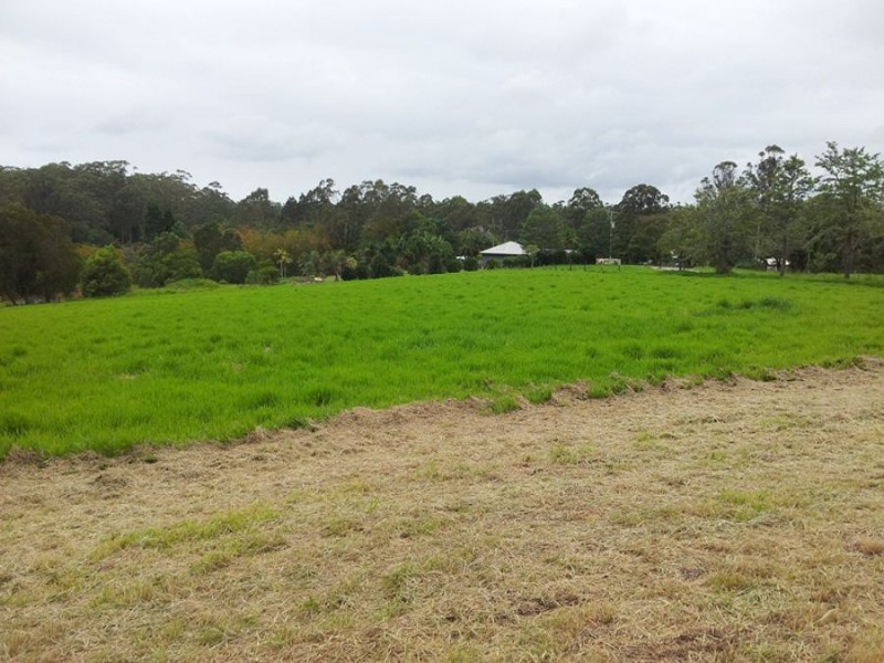 40 Gilson Road, Cootharaba QLD 4565