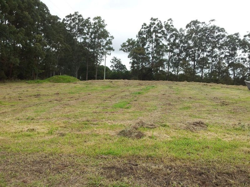 40 Gilson Road, Cootharaba QLD 4565