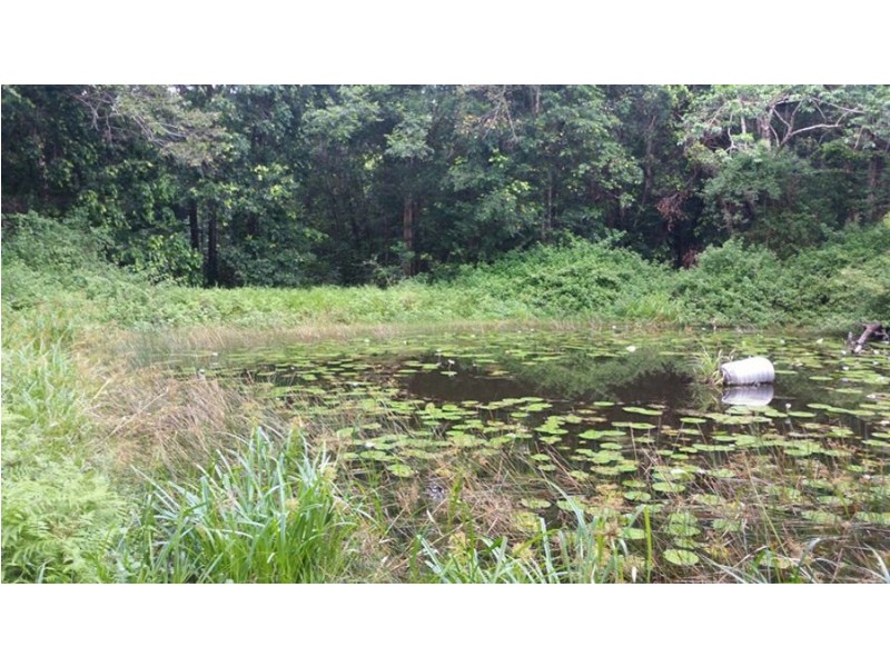 40 Gilson Road, Cootharaba QLD 4565