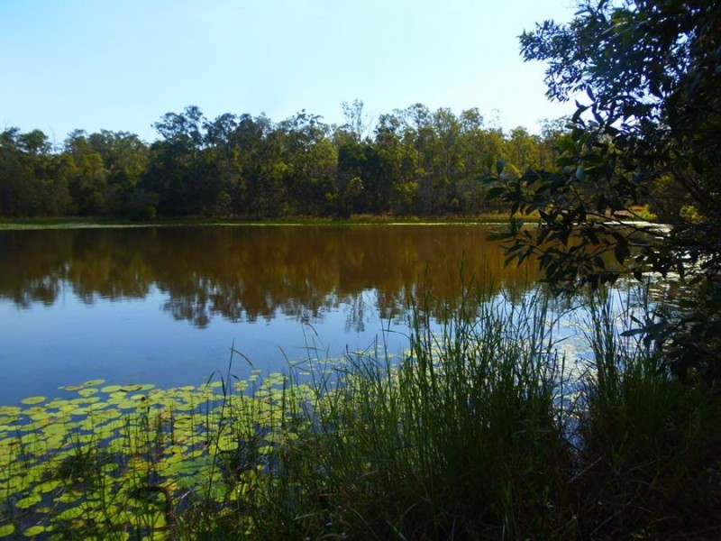296 Lowe Road, Bollier QLD 4570
