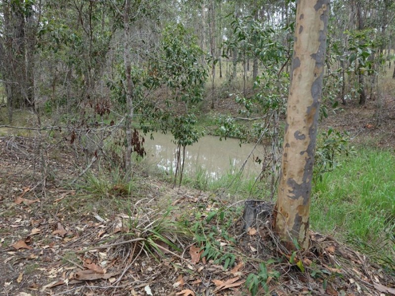 Lot 2 Rodney Road, Curra QLD 4570