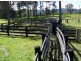 Tandur QLD 4570