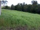 Tandur QLD 4570