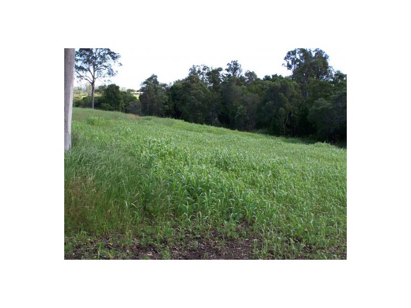 Tandur QLD 4570