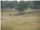 Goomeri QLD 4601