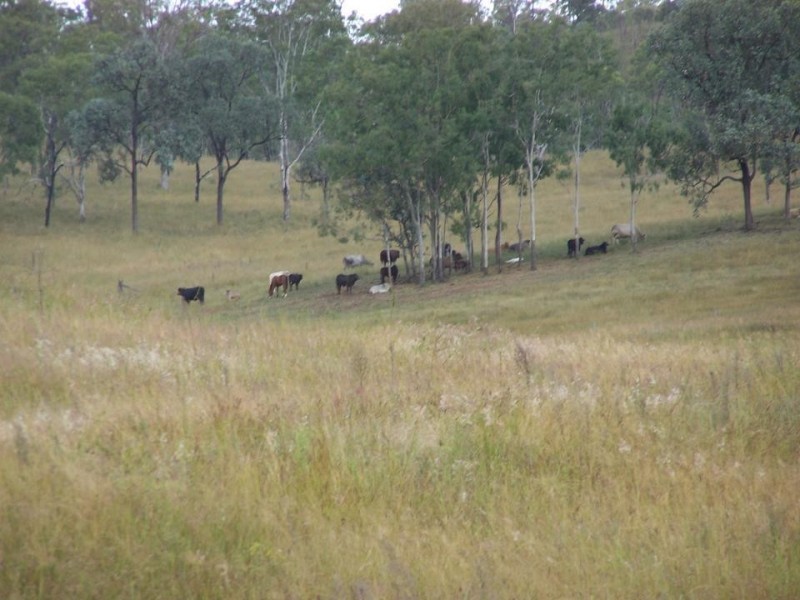 Goomeri QLD 4601