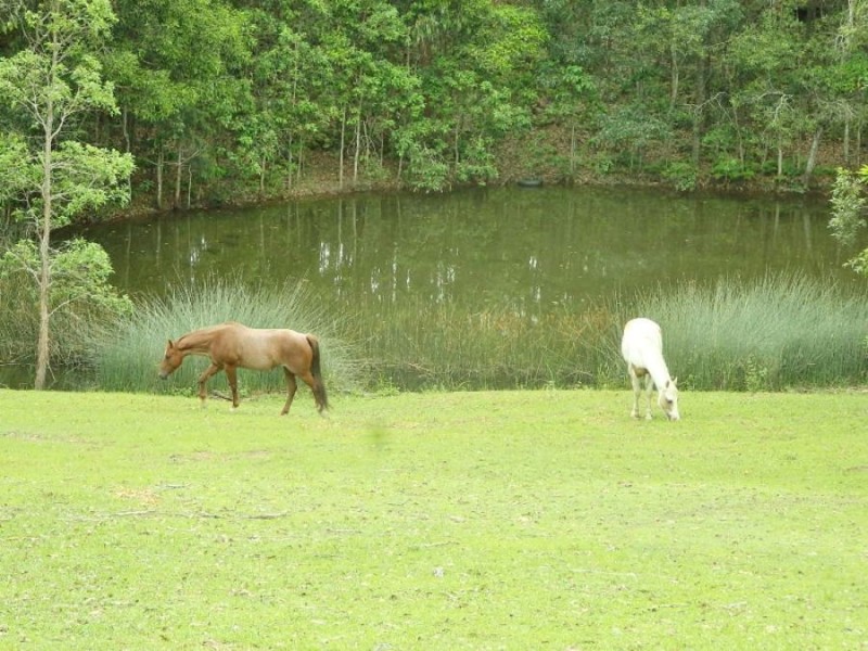 2034 Noosa Road, Traveston QLD 4570