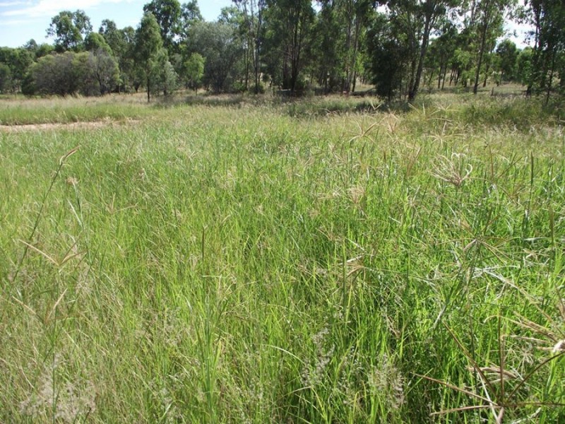 Lot 35 Bauple Woolooga Road, Woolooga QLD 4570