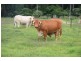 Brooloo QLD 4570